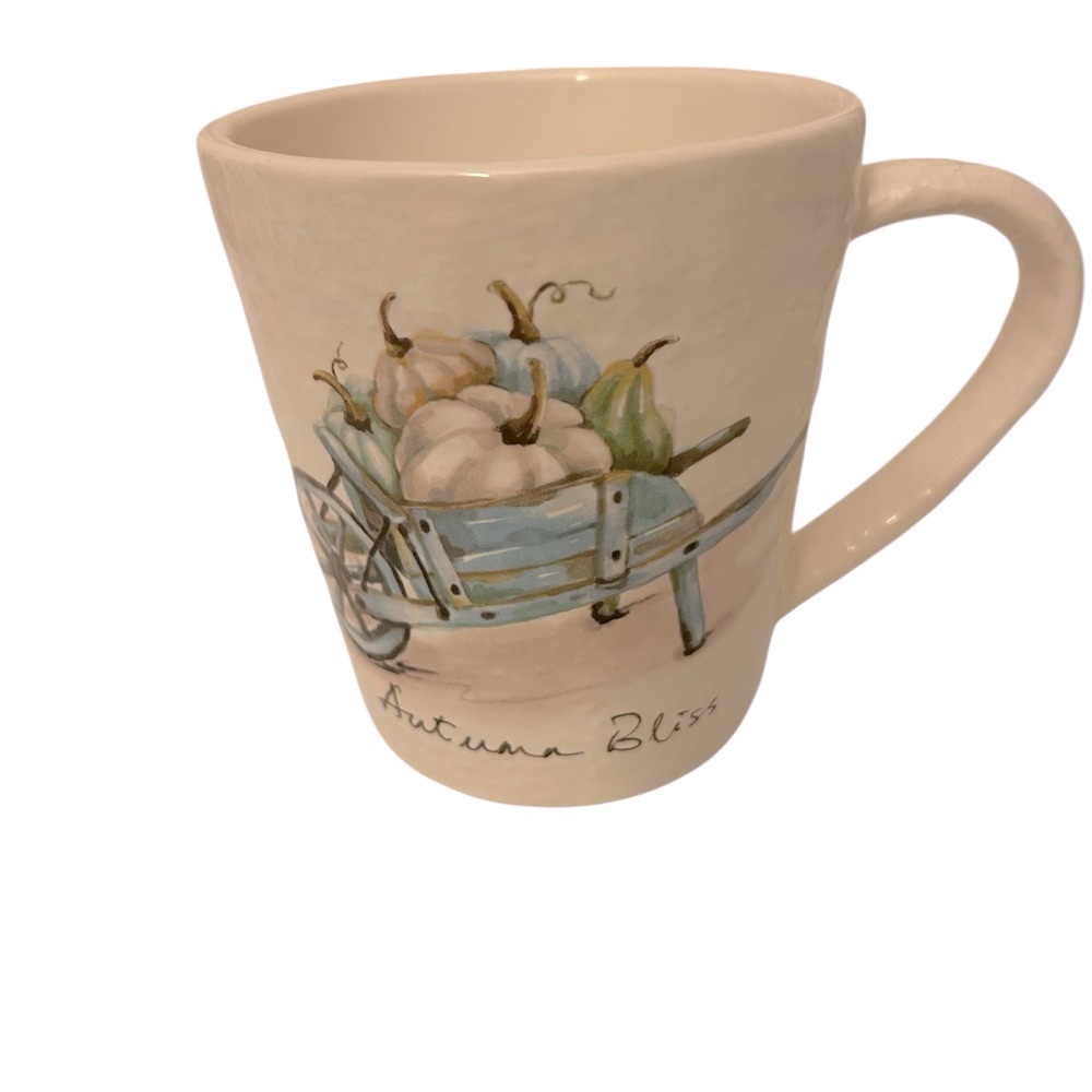 Retired Pier 1 Autumn Bliss 16oz Textured Ironstone Fall Seasonal Pumpkin Mug